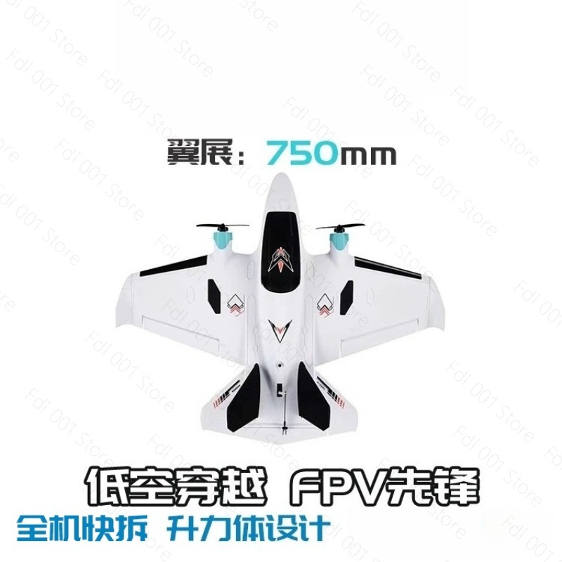 Dual Motor FPV Fixed Wing RC A - đánh giá và giá Rc Drone